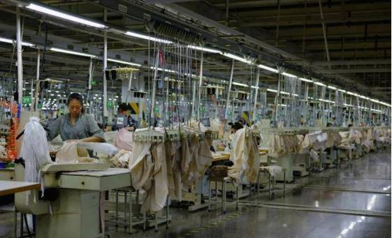 从厂妹到董事长 一场被戳穿的创业神话与警示