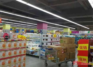 投资办什么厂投资小利润大？三大低投入高回报的创业项目解析